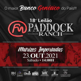 19º Leilão Paddock Ranch